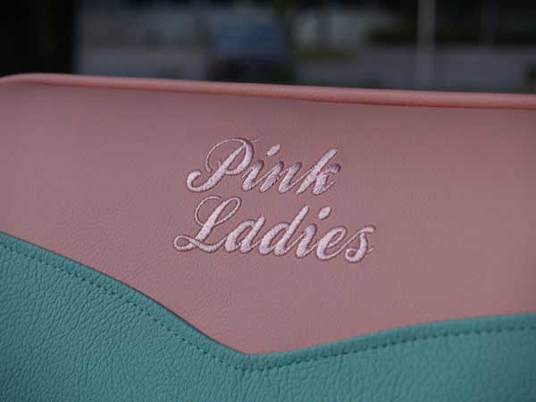 Pink Ladys Diner 2011